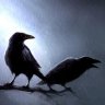 Bavarian Raven