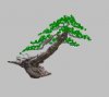 pinus_sylvestris_06-08-2007_1_virtual.jpg