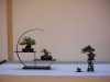 09 shohin display.jpg