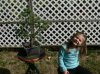 carley bonsai.jpg