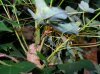 DSCN2757.jpg