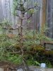 downsized_0703000637a.jpg