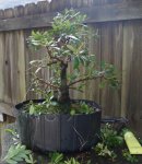 DSC01602-1.jpg