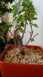20160604_164520.jpg