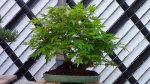 DSC00523.JPG