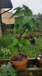 20160730_101141.jpg