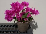 20160215_115611.jpg