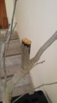 20160813_150315.jpg
