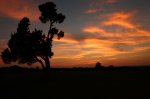 20160825075810_IMG_0087.JPG 20160825075810_IMG_0087.JPG