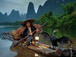 tmp_31730-azouri-cormorant-fisherman.jpg.cf-2020157762.jpg