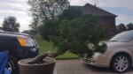 20160917_092206.jpg