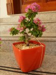 20160923_075856.jpg