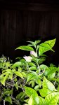 20160923_200724.jpg