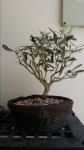 20160820_133529.jpg