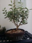 20161012_081638.jpg