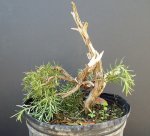 DSCF0999.jpg