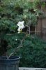 DSC_1822.jpg