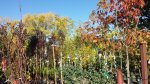 20161019_092204.jpg