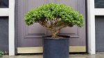 20161022_113357.jpg