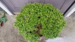 20161022_113426.jpg