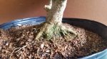 20160830_163459.jpg