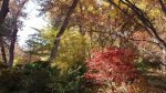20161113_130646.jpg
