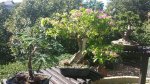 20161118_124613_resized.jpg