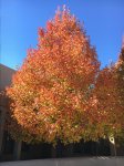 IMG_3359.JPG
