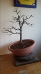 20161125_070003.jpg