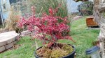 IMG_20161125_144719502.jpg