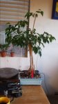 20161201_070137.jpg