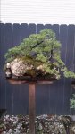 20161207_174315.jpg