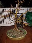 20161212_035023.jpg