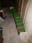 IMG_20170112_225132.jpg