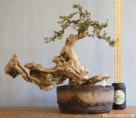 IMG_0623.JPG IMG_0623.JPG