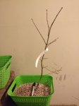 IMG_20170115_221132.jpg