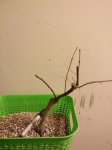 IMG_20170115_221536.jpg