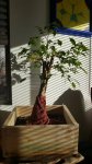 20170122_084558.jpg