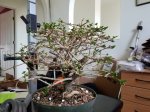 20170202_121835.jpg 20170202_121835.jpg