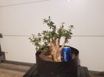 20170131_210125.jpg