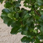 20160617_152147.jpg