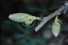 DSC_1835c.jpg