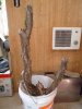 DSC01083.JPG