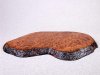redwood burl.jpg