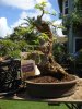 DSC08672.jpg