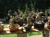 DSC08687.jpg