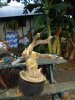 DSC08753.jpg