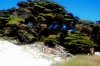 Big-Sur-170.jpg