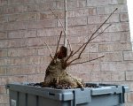 LRM_EXPORT_20170206_112443.jpg