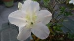 20170206_173632.jpg